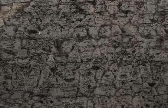 Oracle Grey 600x1200 mm